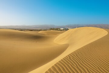 Maspalomas Dunes at sunset: several companies offer camel rides and sandboarding tours of the...