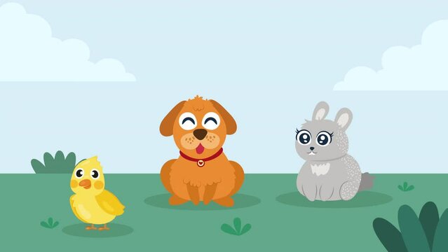 dog and rabbit characters animation