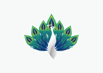peacock logo vector illustration abstract with blue and green feathers