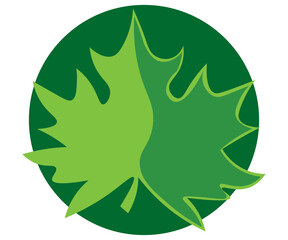 world environment day, environment, ecology, plastic