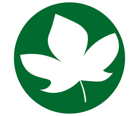 world environment day, environment, ecology, plastic