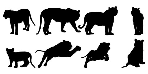 Silhouettes Of Tigers