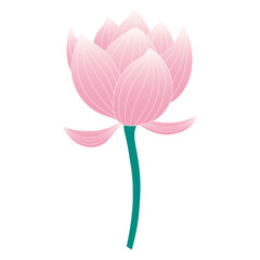 Lotus, water lily flower hand drawn illustration. Line art, drawing style design, isolated vector. Mid Autumn Festival floral, botanical element, beautiful Asian flora, blossom, bloom, plant