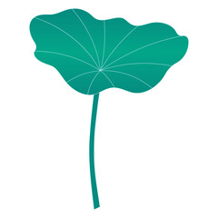 Lotus, water lily leaf hand drawn illustration. Line art, drawing style design, isolated vector. Mid Autumn Festival plant, botanical element, beautiful Asian flora