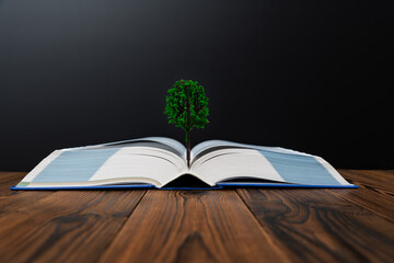 Tree grow out of open book