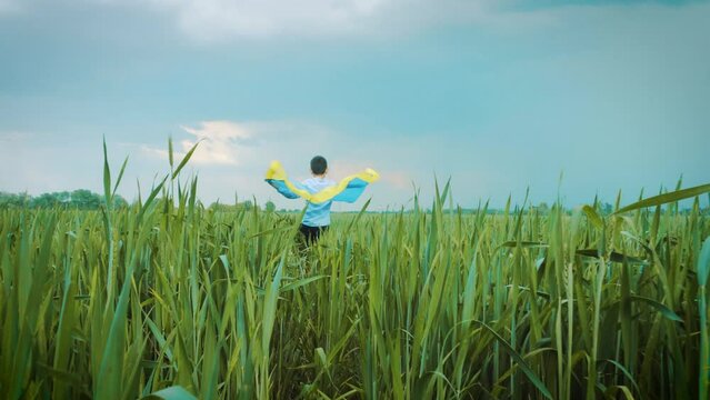 boy with Ukrainian flag in the wheat field. Little kid waving national flag praying for peace. Happy child celebrating Independence Day.