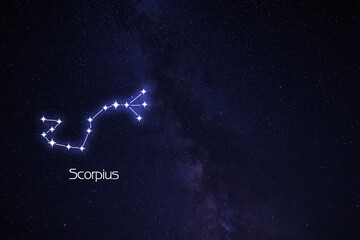 Scorpius (Scorpion) constellation. Stick figure pattern in starry night sky