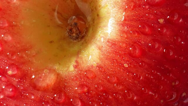 The probe lens offers an incredible depth of field, allowing the viewer to appreciate the intricate patterns and textures of the water droplets. It reveals the delicate curvature of each drople. 4K
