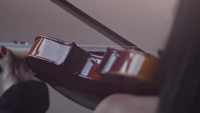 a Beautiful Girl Playing the Violin