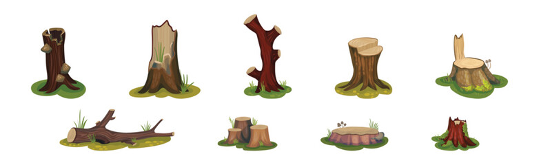 Tree Stump and Old Forest Stub on Green Grass Vector Set