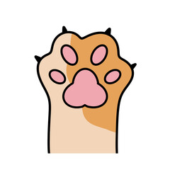 Cat paw, cat collar, international cat day 