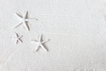Fototapeta na wymiar White sea star on the sand, summer beach background