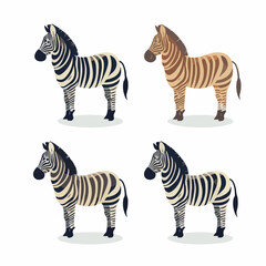 Fototapeta na wymiar Cute funny zebra on a white background. 2d vecktor illustration 