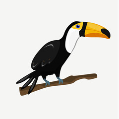 Toucan bird cartoon on a branch