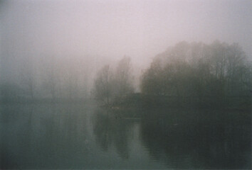 Trees Reflected in the Lake in a Winter Misty Morning. Milano, Italy. Film Photography