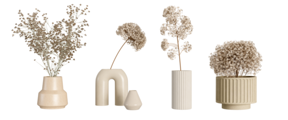 Dried flower in vase on white background