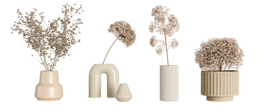 Dried flower in vase on white background