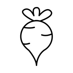 BEET design vector icon design vector line icon svg