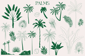 Collection of palm tree. Editable vector illustration.