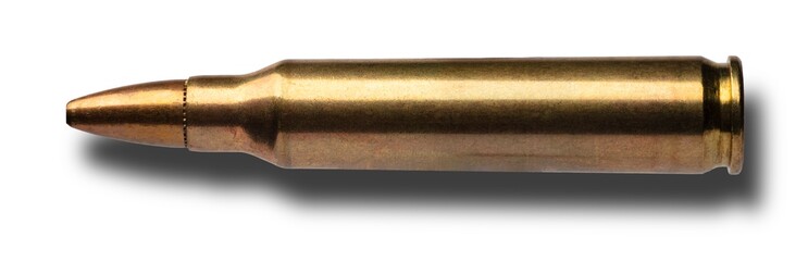 Shadow below AR=15 rifle ammo with a hollow point bullet - obrazy, fototapety, plakaty