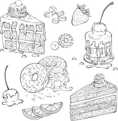 Set of various desserts. Piece of cake, pastry, donuts, meringue with fruit. Vector illustrations in hand drawn sketch doodle style. Line art dessert isolated on white. Design for coloring book, print
