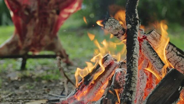 Close up on coal and wood burning as lamb on a cross is cooking in background. Delicious lamb meat being cooked for hours on asado cross cooking with burning bonfire outdoors in park or backyard