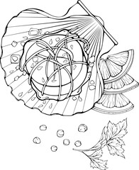 Scallop sea food. Still life with clam or marine bivalve mollusk. Black vector illustration in hand drawn sketch doodle style. Cartoon line art for coloring book, seafood shop or menu, decor, label