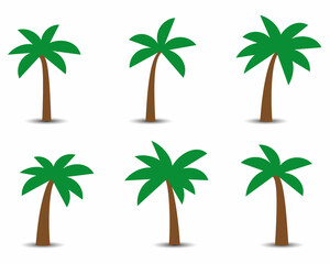 Naklejka premium Palm trees with shadow isolated on white. Vector illustration