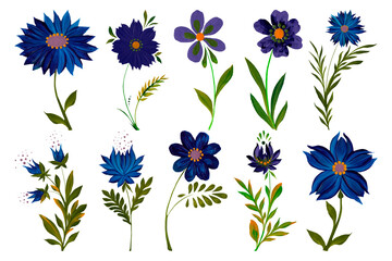 Fototapeta na wymiar Set of hand drawn blue flowers and leaves. Botanical watercolor illustration.