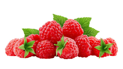Raspberry isolated on white background, full depth of field