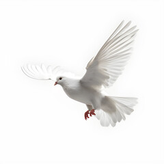 Flying dove isolated on white background. Generative AI.