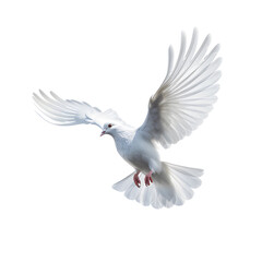 Obraz premium Flying dove isolated on white background. Generative AI.