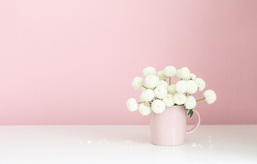 white  chrysanthemums in pink cup on pink background