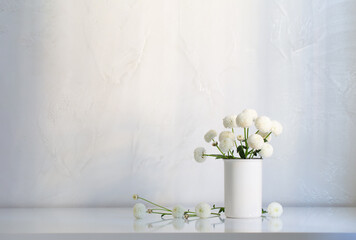 white chrysanthemums in vase on white background