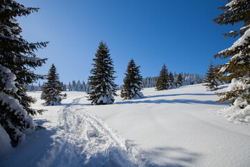 Paltinis Sibiu winter Romania Transylvania
