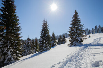 Paltinis Sibiu winter Romania Transylvania
