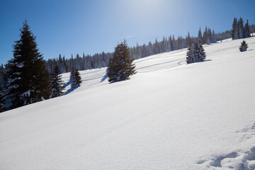 Paltinis Sibiu winter Romania Transylvania
