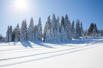 Paltinis Sibiu winter Romania Transylvania
