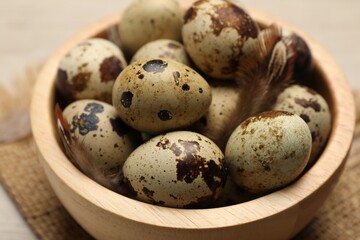 Obraz premium Speckled quail eggs and feathers on table, closeup view