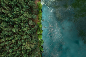 Aerial drone view of lake and green lush forest