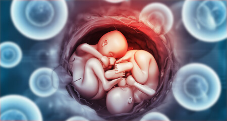 Twins fetus on scientific background. 3d illustration. - obrazy, fototapety, plakaty