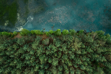 Aerial drone view of lake and green lush forest