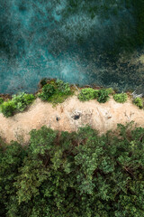 Aerial drone view of lake and green lush forest