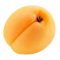apricot isolated on white background, full depth of field