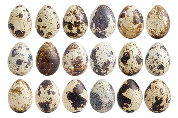 quail egg, isolated on white background, full depth of field - obrazy, fototapety, plakaty
