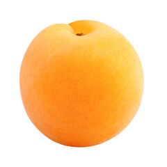 apricot isolated on white background, full depth of field