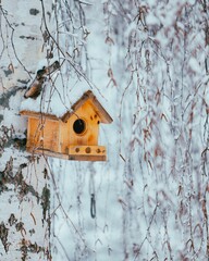 Vertical closeup of a handmade wooden bird house hanging from a tree trunk in a snowy park