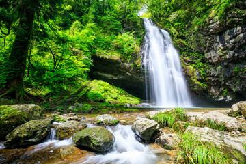 初夏の龍頭が滝　雄滝　島根県雲南市　Ryuzu Falls in early summer. Shimane Pref, Unnan City.