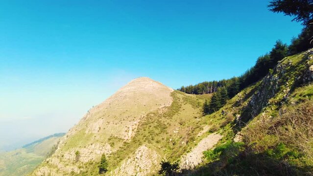 forest at the top of the mountain above the clouds with coniferous trees in Blida Algeria - Slow motion