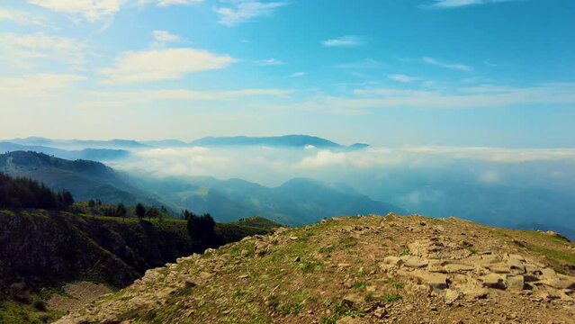 at the top of the mountain above the clouds with coniferous trees in Blida Algeria - Slow motion